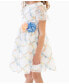 ფოტო #2 პროდუქტის Little Girls 3D Floral Embroidered Social Dress