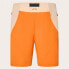 Фото #5 товара OAKLEY APPAREL Latitude Arc shorts