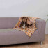 Фото #3 товара Одеяло для домашних животных TRIXIE Laslo Разноцветное полиэстер 100 x 150 см.