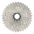 SHIMANO CS-HG710 12 pinion