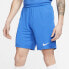 Nike Dri-FIT BV6855-463 Pants