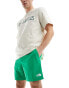 The North Face Watershort logo swim shorts in green