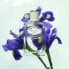 Iris Eau de Parfum