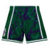 MITCHELL & NESS NBA TEAM MARBLE SWINGMAN SHORTS MILWAUKEE BUCKS 2000