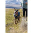 RUFFWEAR Stumptown™ Fleece