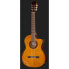 Фото #2 товара Takamine GC5CE Natural w/Bag