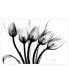 Фото #1 товара "Marching Tulips" Frameless Free Floating Tempered Glass Panel Graphic Wall Art, 32" x 48" x 0.2"