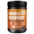 GOLD NUTRITION 900g Chocolate Muscle Recovery