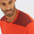 ფოტო #6 პროდუქტის SALOMON Outline short sleeve T-shirt