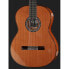 Cordoba C 9 Crossover Cedar