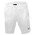 Фото #1 товара Mizuno Team Nara Training Shorts