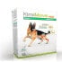 Фото #1 товара KIMIPHARMA Kimimove Rapid Dog Supplement 60 Units