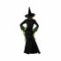Фото #9 товара Маскарадные костюмы для взрослых Зеленый Ведьма взрослых