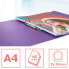 ESSELTE Colour´Breeze PP 2 Rings 25 mm A4 Folder