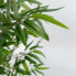 Дерево Home ESPRIT полиэстер Бамбук 40 x 40 x 180 cm