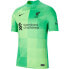 Фото #1 товара NIKE Liverpool FC Stadium Goalkeeper 21/22 T-Shirt