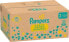 Windeln Premium Protection New Baby Gr. 2 Mini (4-8 kg), Monatsbox, 240 St - фото #2