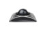 Kensington Expert Mouse® Wired Trackball - Ambidextrous - Trackball - USB Type-A - 400 DPI - Black