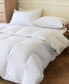 Allergy-Free Down 700 Plus Fill Power Canadian Hutterite Down Lightweight Comforter, Twin