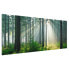 Фото #3 товара Glasbild Enlightened Forest