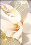 Фото #1 товара Goldene Magnolie Poster