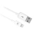 Фото #1 товара EWENT EW9902 2 m USB-A To Lightning Cable