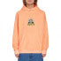 Фото #1 товара VOLCOM Chillhood hoodie