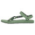 Фото #4 товара LIZARD Trail sandals