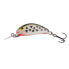 SALMO Hornet Floating crankbait 10g 60 mm