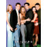 Фото #2 товара FRIENDS Cast 500 Piece Puzzle