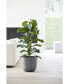 Фото #2 товара Oslo Indoor and Outdoor Modern Planter, 14in