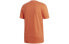 Adidas Originals Trefoil LogoT DZ4572 T-shirt