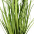 Фото #3 товара Декоративное растение 45 x 40 x 74 cm Зеленый PVC