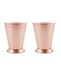 Фото #1 товара Stainless Steel Silver Mint Julep Cups, Set of 2