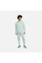 Фото #1 товара Sportswear Revival Fleece Erkek yeşil polarlı Eşofman Altı dm5626
