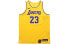 Фото #1 товара Баскетбольный Nike NBA AU LeBron James Connected Jersey AA7265-735