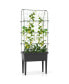 Фото #1 товара Self-watering Raised Garden Bed Elevated Planter with Climbing Trellis-Black