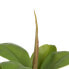 Decorative Plant Green PVC Oak 58 cm