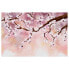 Фото #1 товара Wandbild Cherry Blossoms
