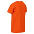 ფოტო #6 პროდუქტის REGATTA Bosley VI short sleeve T-shirt