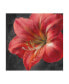 Фото #1 товара Danhui Nai Vivid Floral III Crop Canvas Art - 15.5" x 21"