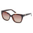 Dark Havana / Brown Polarized