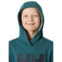 Фото #5 товара HELLY HANSEN Logo hoodie