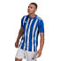 Фото #1 товара Мужская спортивная футболка синяя с полосками ADIDAS Striped 21 Short Sleeve T-Shirt