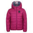 Фото #1 товара ALPINE PRO Michro jacket