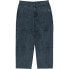 ELEMENT Carpenter Canvas pants