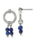 Stainless Steel Polished with Lapis Dangle Earrings