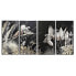 Фото #1 товара Картина набор из четырех рамок DKD Home Decor Тропический 280 х 4 х 140 см