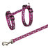 TRIXIE Harness With Leash