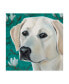 Фото #1 товара Dlynn Roll Dlynns Dogs Magnolia Canvas Art - 15" x 20"